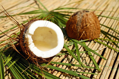 cocomonoi | body hair oil | bio-organic freeshipping - THE CLEAN BEAUTY.CO